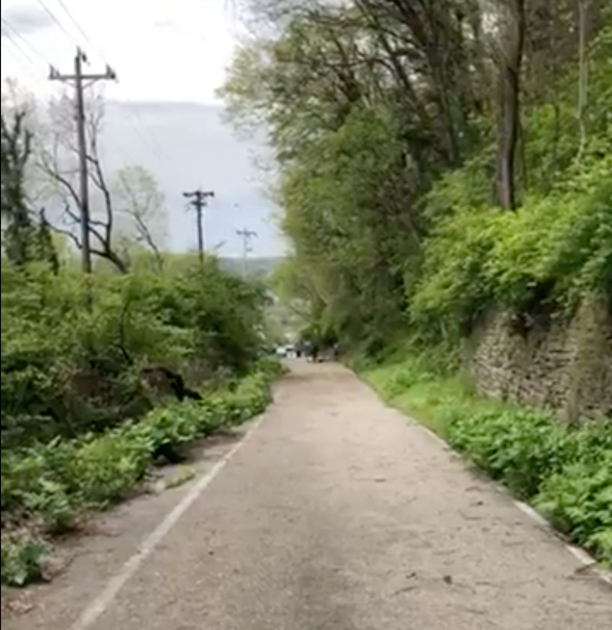 This stretch of Maryland Avenue was a known hotbed for illegal activity because it was overgrown and rundown. Grant funds are helping to turn it into an everyday walking and riding trail for west side residents. (Photo courtesy of Price Hill Will)